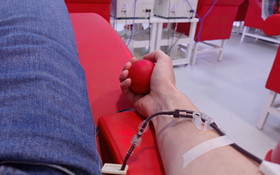 Очищение плазмы от циркулирующих токсинов - Квинмед